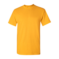 T-Shirts - Adult & Youth